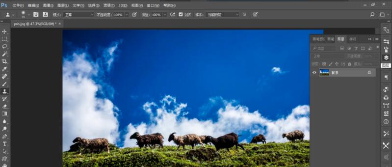 Photoshop CC
