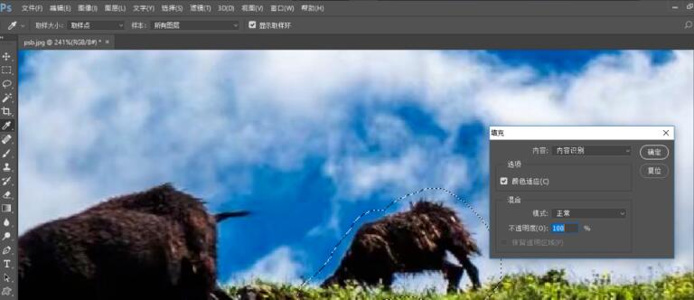 Photoshop CC