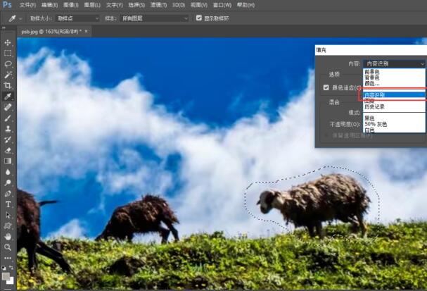 Photoshop CC