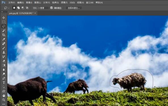 Photoshop CC