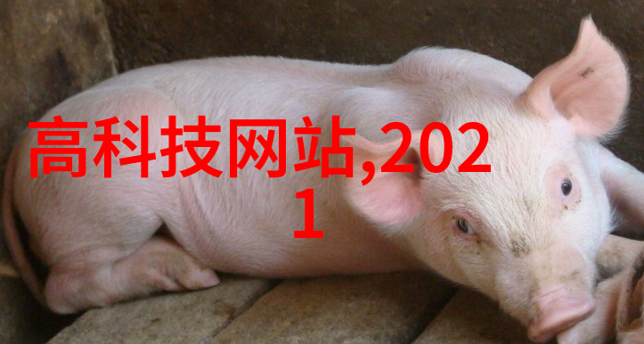 小米最新旗舰手机震撼亮相破局科技与极致性能并行小米最新手机「小米最新旗舰手机震撼亮相破局科技与极致性能并行」