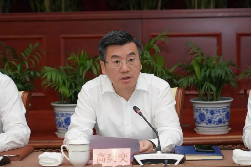 上海宝山区原区长高奕奕被“双开”，曾诬告陷害纪检监察干部