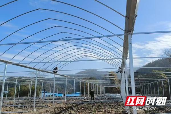 农发行郴州市分行直营部：2.24亿金融活水润泽“希望田”