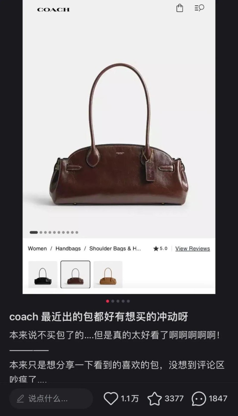 时髦女孩又背Coach了？