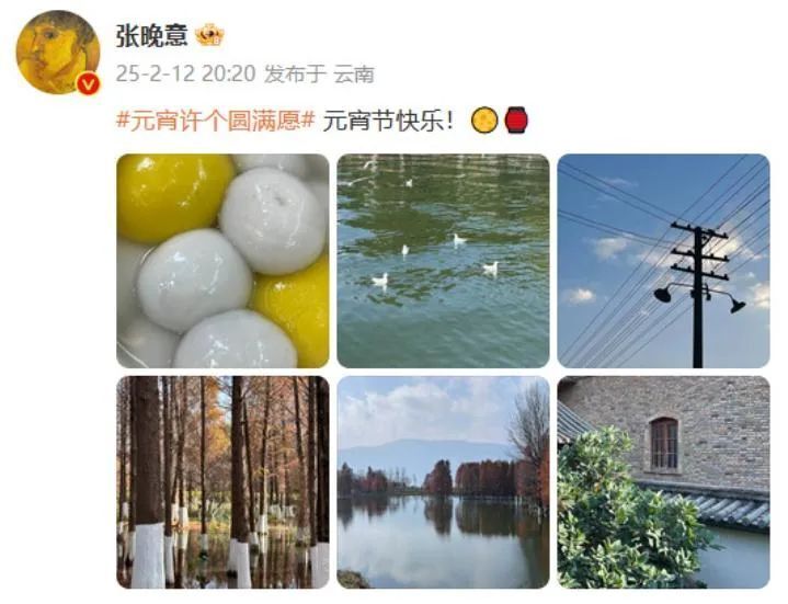 张晚意与女演员共食汤圆，恋情曝光？工作室火速辟谣：单身！