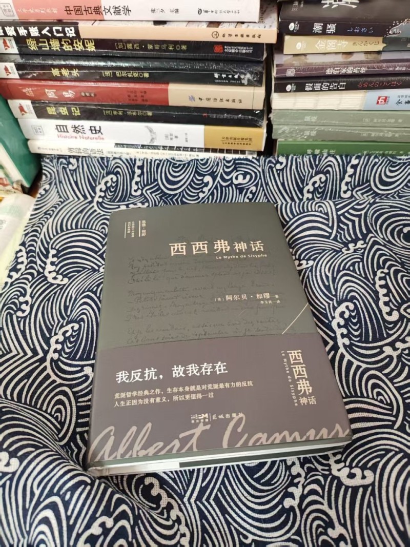《西西弗神话》太透彻了！“天才拒绝原谅一切”