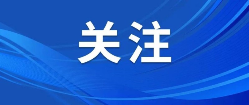 石家庄英励女篮赢下关键战