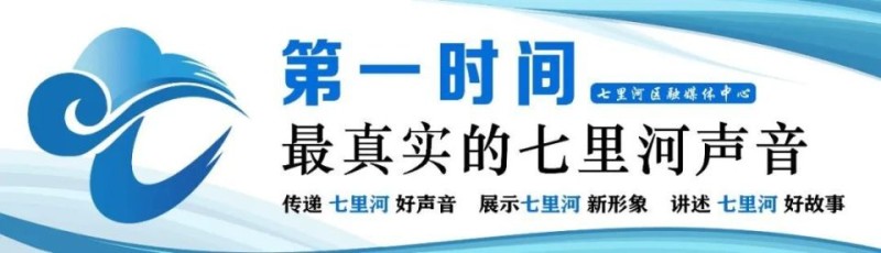 扬帆起航风正劲 乘势而上启新篇——2024年七里河区推进高质量发展综述