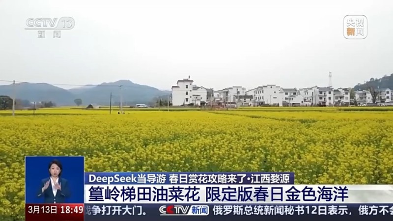 DeepSeek当导游 春日赏花攻略来了