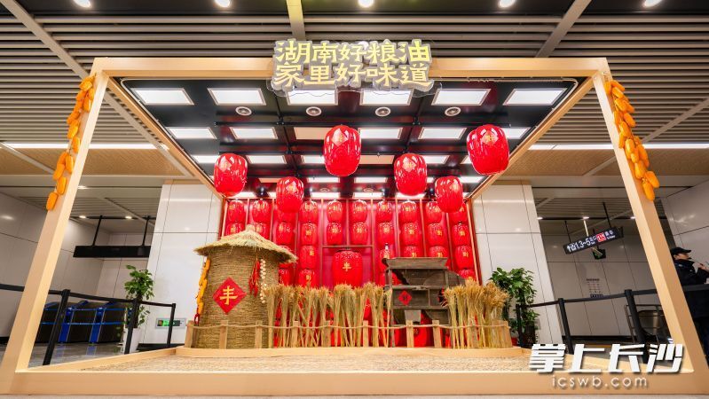 湖南好粮油地铁专列发车 湖湘味道“驶入”千家万户