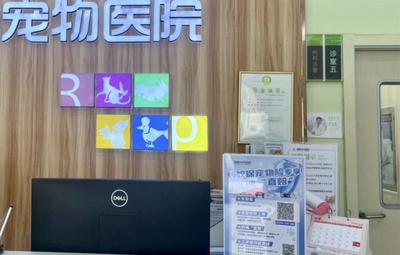 给宠物买医保真划算吗？消费者吐槽理赔陷阱多｜宠圈那些事