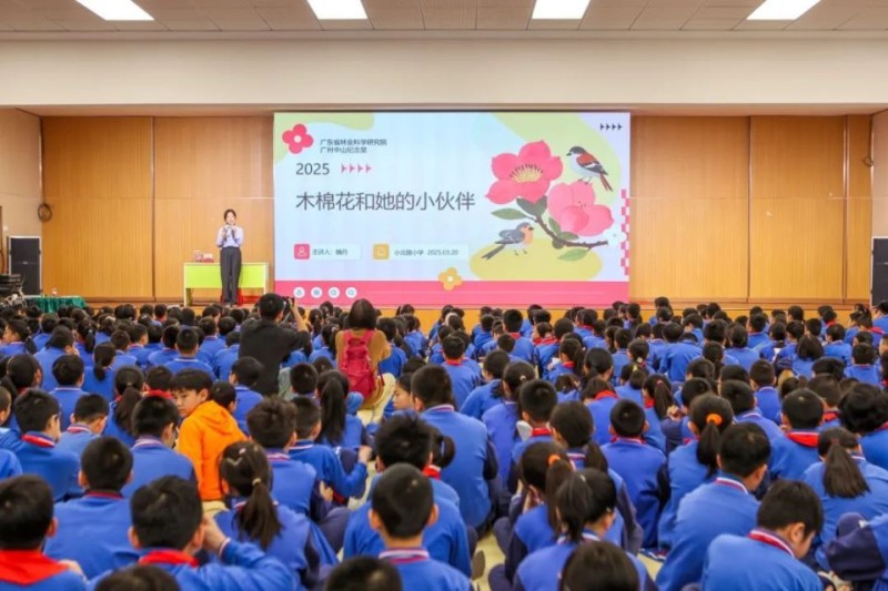 “你好小红棉！我们一起玩AI！”