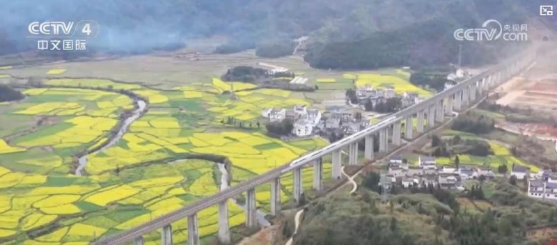 清明假期出行新趋势：短途游火爆 赏花民俗体验热度攀升