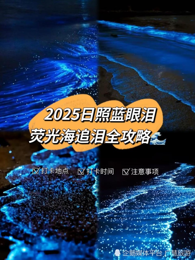 日照“蓝眼泪”攻略，旅行必看