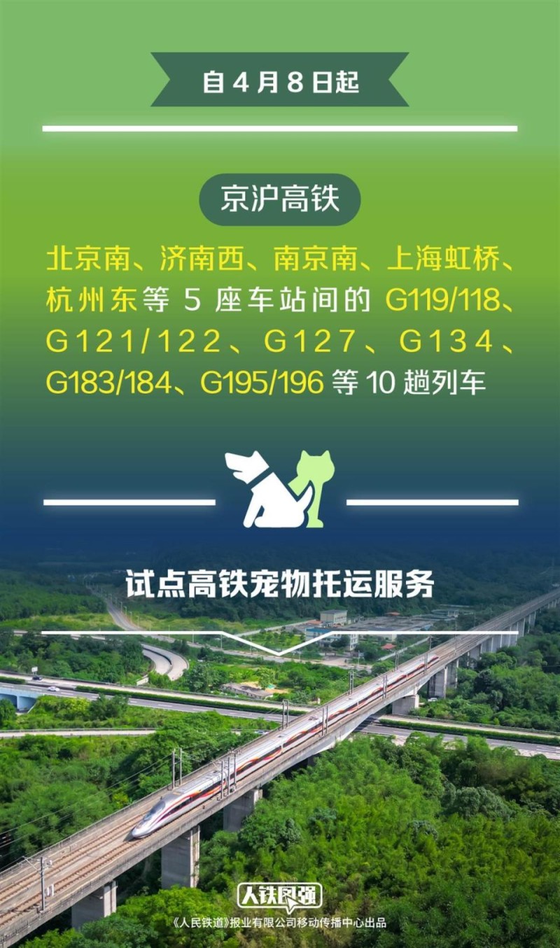 深度解读猫猫狗狗如何坐高铁：使用专用运输箱，与其他旅客双重隔绝