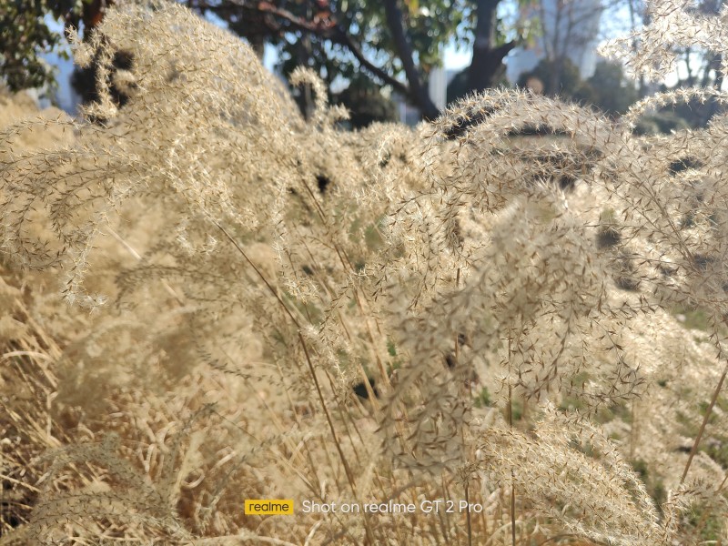 realme真我GT2 Pro大师·森评测：业界最强直屏旗舰 今年唯一？