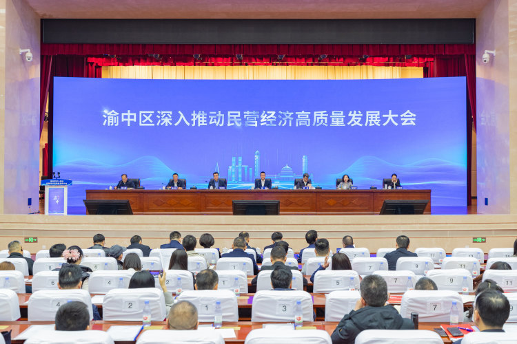 渝中区召开深入推动民营经济高质量发展大会